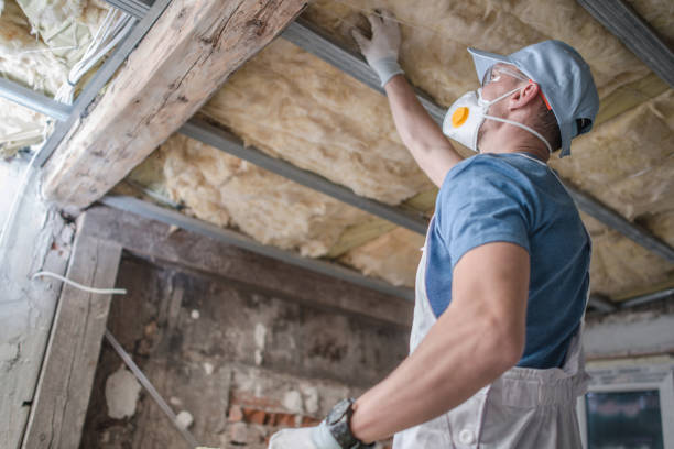 Best Commercial Insulation in Havana, FL